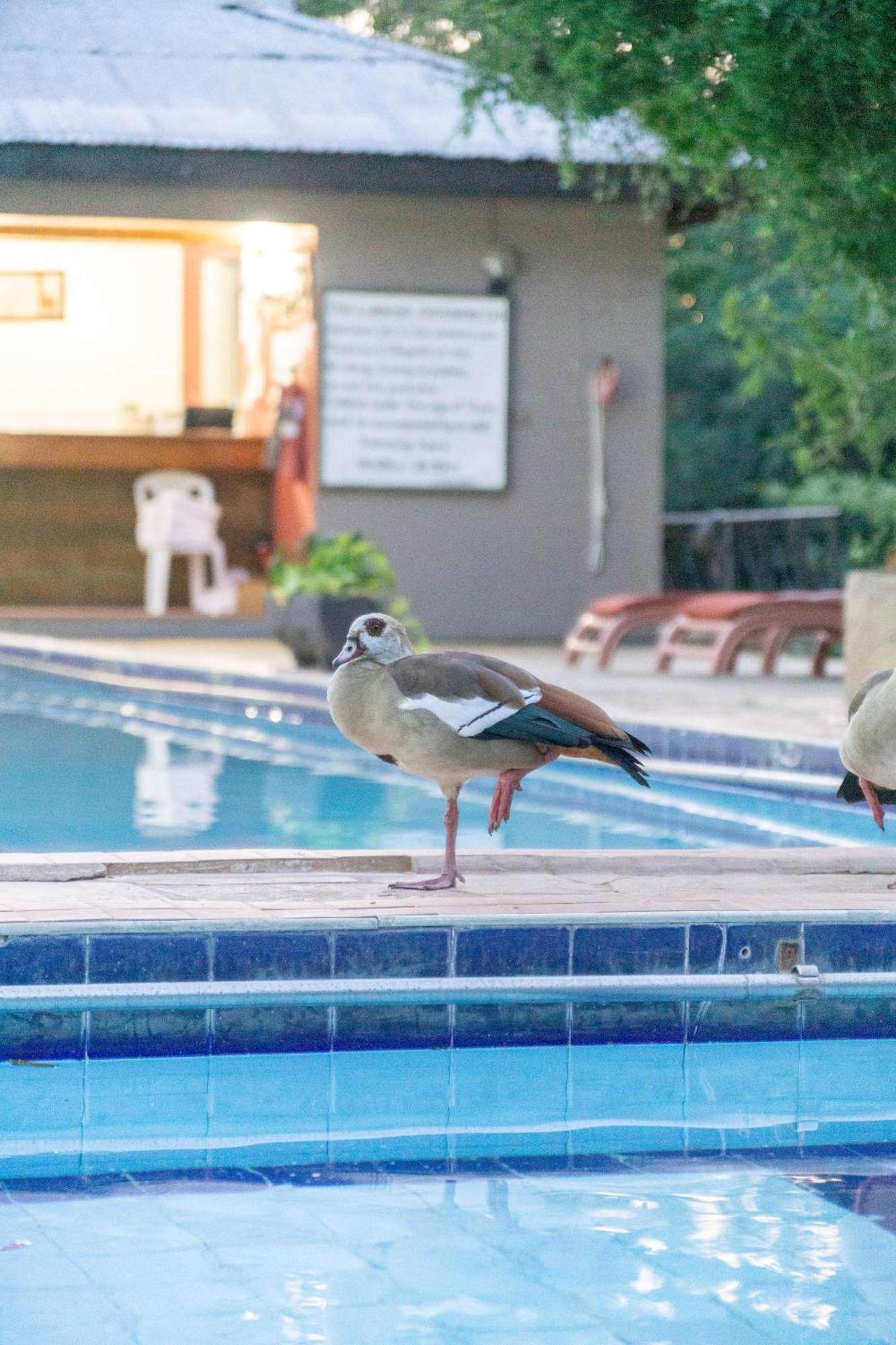 Lukenya Getaway Hotel Athi River Exterior photo